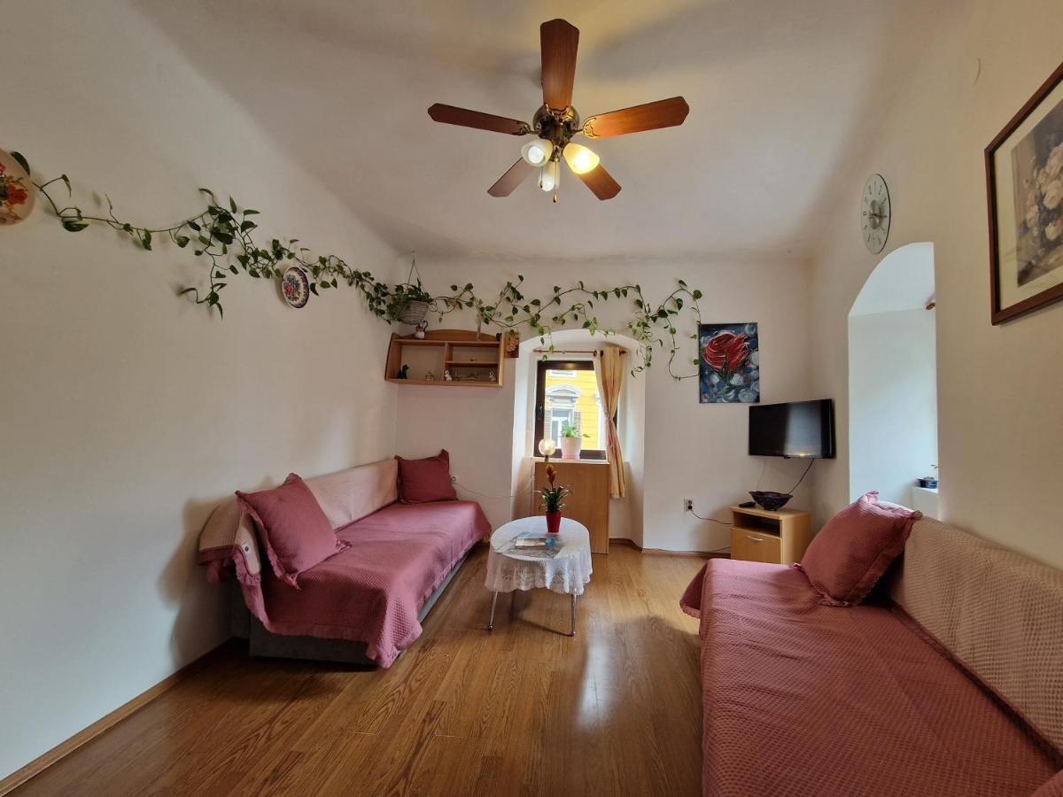 Apartman Vesna Apartment Rijeka Bagian luar foto