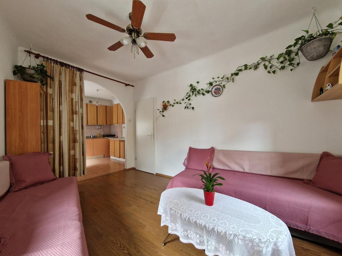 Apartman Vesna Apartment Rijeka Bagian luar foto
